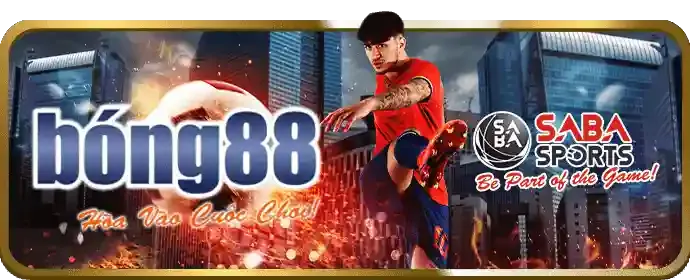 Giao diện người dùng thân thiện và hỗ trợ 24/7 của bong 99